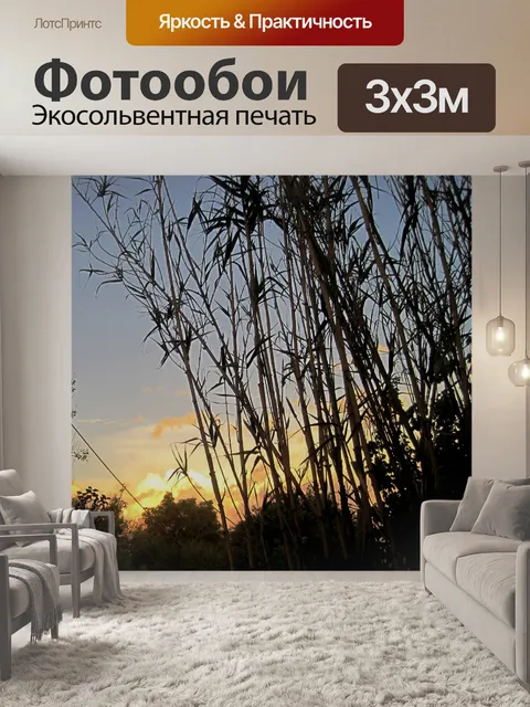 Фотообои камыши против закат облака