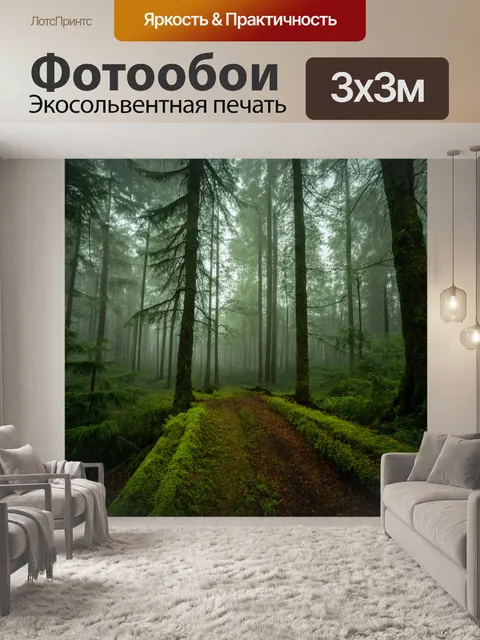Фотообои таинственный лес с высоким покрытием тумана, создающим туманный атмосферу