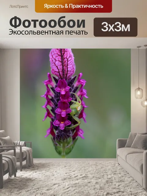 Фотообои Крупный план
