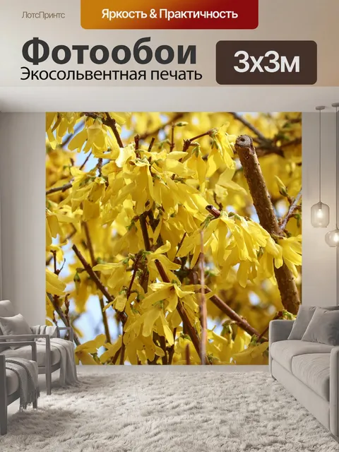 Фотообои Форсайтия