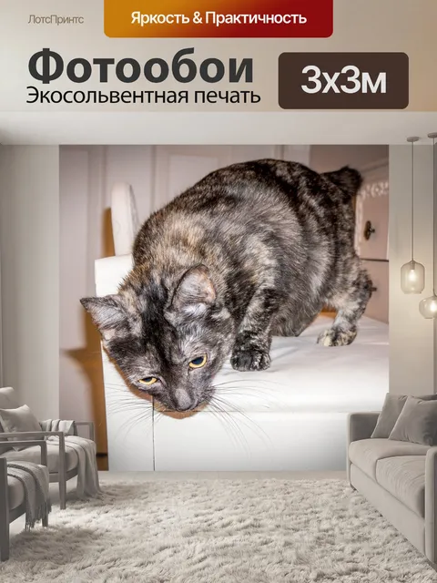 Фотообои Кошка