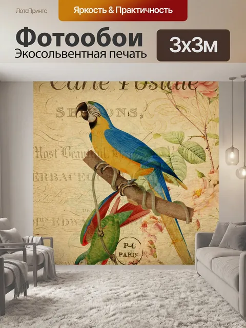 Фотообои Открытка Ара Винтаж Птицы