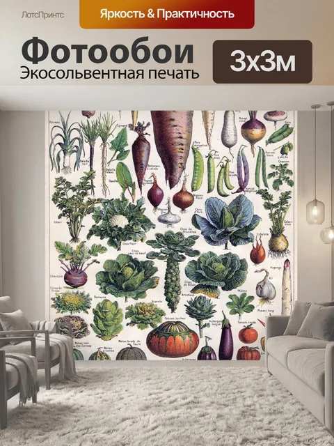 Фотообои Овощные салаты винтажное искусство