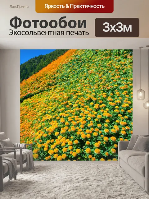 Фотообои хризантемы, каскадирующие с горы