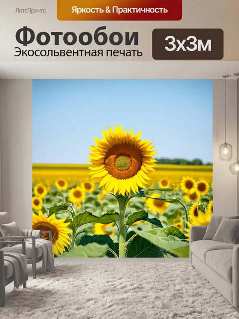 Фотообои поле с подсолнухами