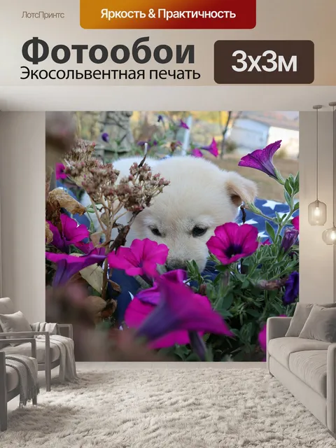 Фотообои Щенок