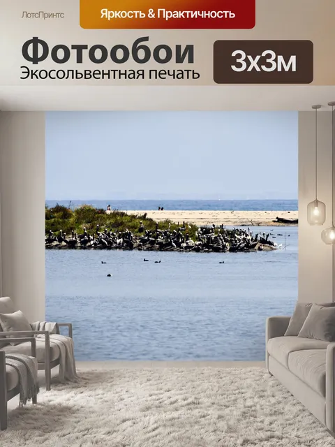Фотообои Плот пеликанов
