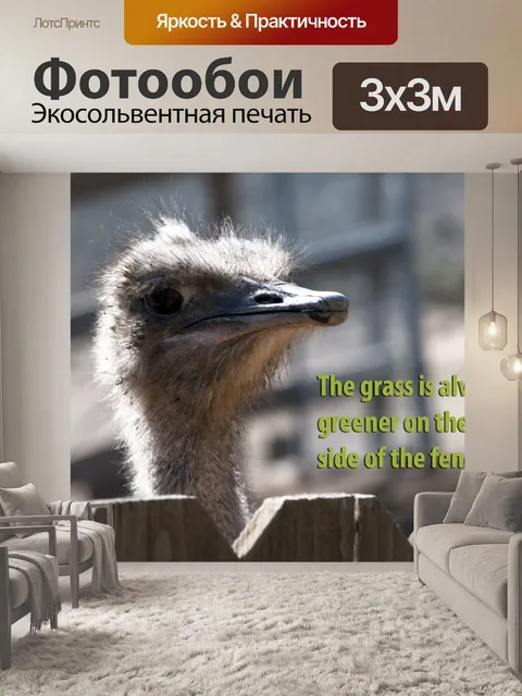Фотообои Трава всегда зеленее