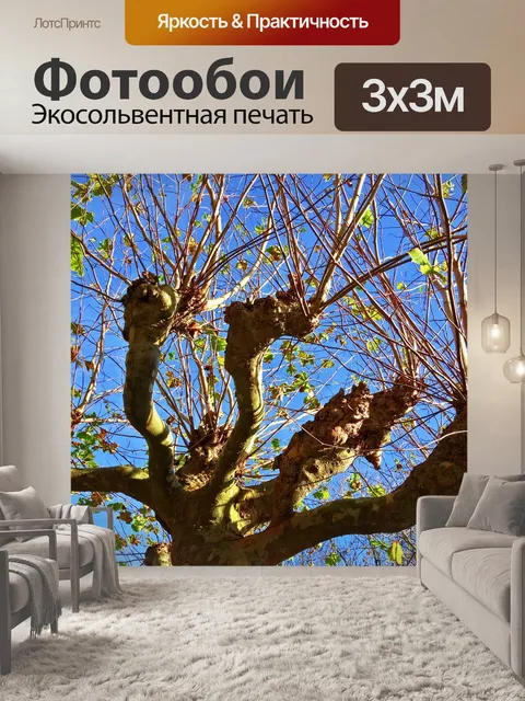 Фотообои Дерево