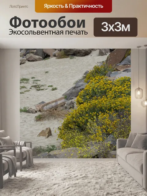 Фотообои Желтые полевые цветы