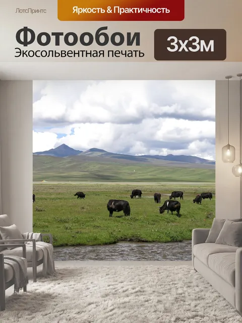 Фотообои Як
