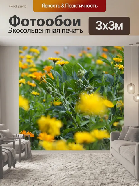 Фотообои Бархатцы сад цветет апельсин