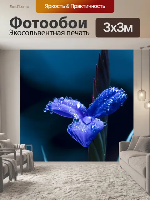 Фотообои Синий цветок