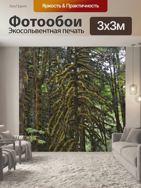 Фотообои Мох