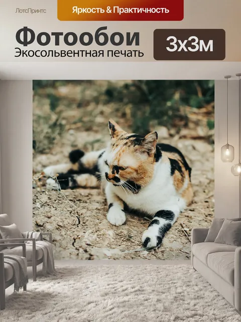 Фотообои Кот