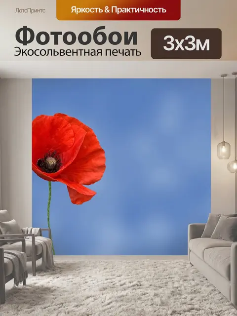 Фотообои Цветок мака