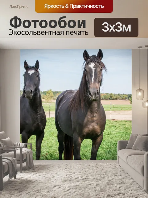 Фотообои Лошадь