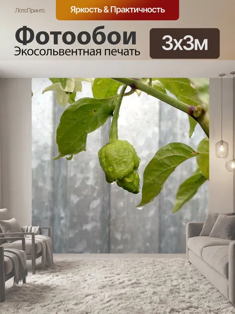 Фотообои Чили