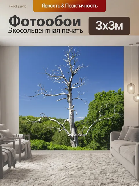 Фотообои Дерево
