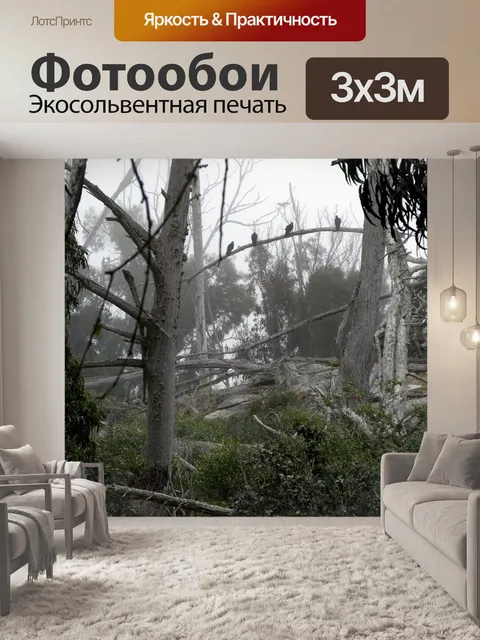 Фотообои Бакланы, сидящие на ветке