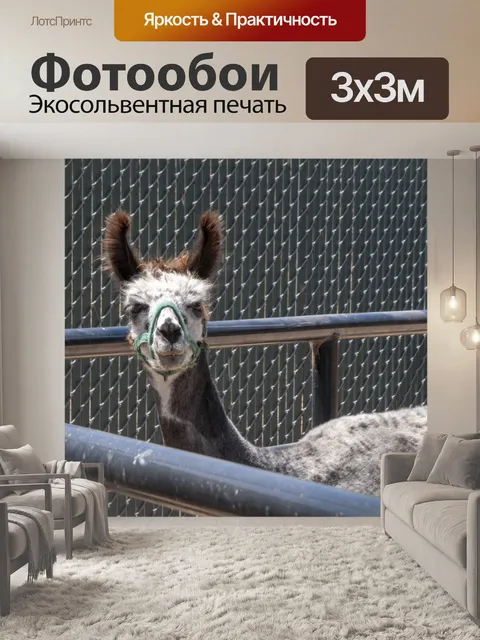 Фотообои Лама уши