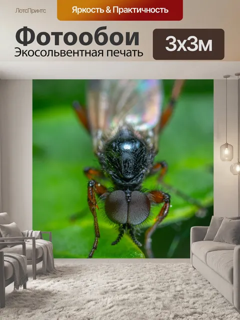 Фотообои Насекомое