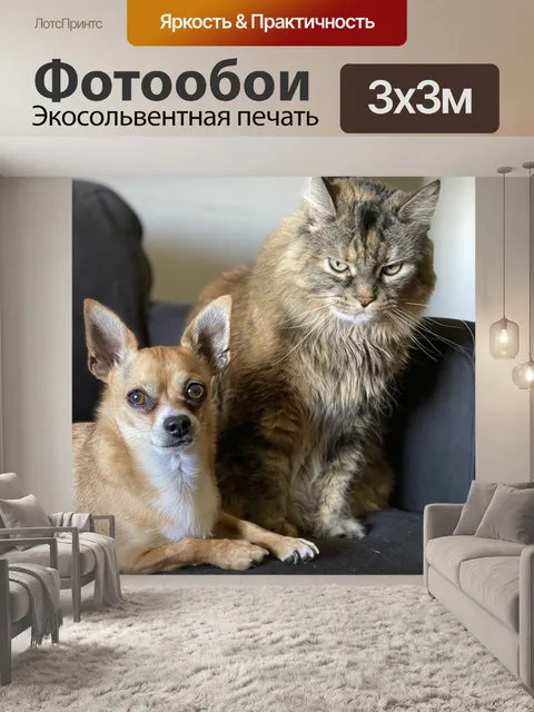 Фотообои Собака