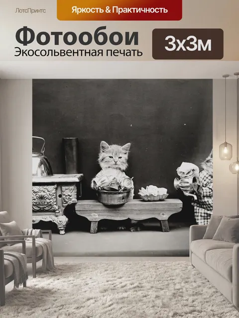 Фотообои Винтажная фотография кота