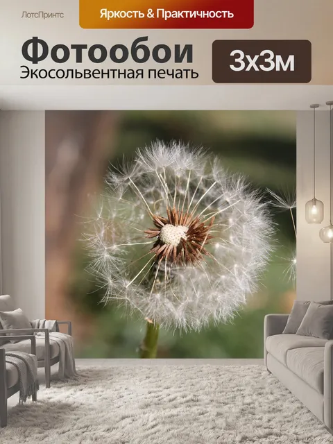 Фотообои Одуванчик