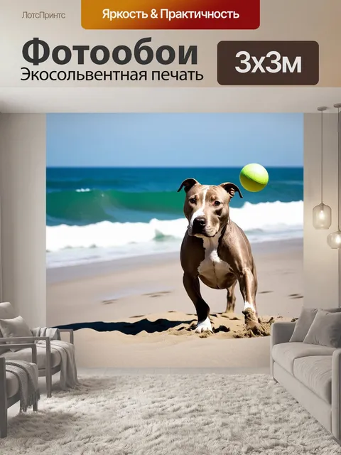 Фотообои американский стаффордширский терьер
