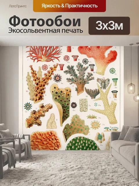 Фотообои Большой Барьерный Риф Винтаж