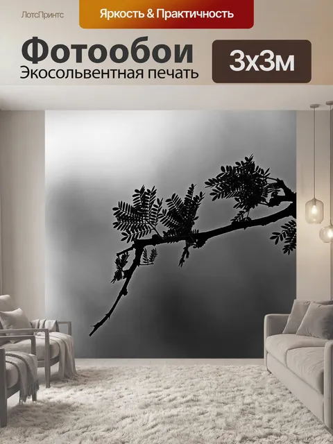 Фотообои ветка черного и белого шипов