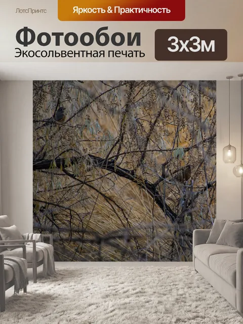 Фотообои Две птицы зимнее дерево