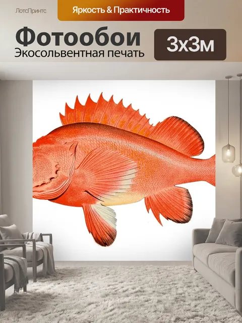 Фотообои Окунь