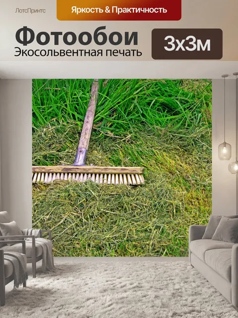 Фотообои Метла