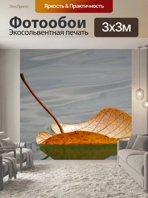 Фотообои Листья плавающие