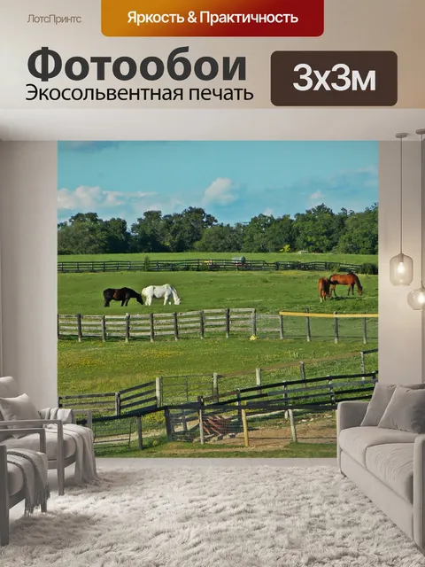 Фотообои Лошади