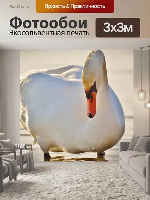 Фотообои Лебедь