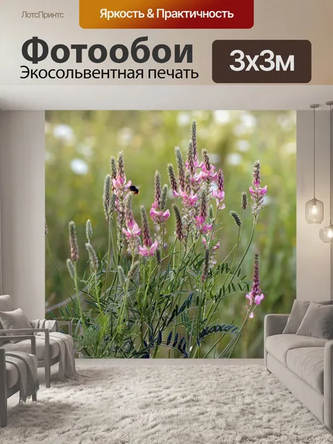 Фотообои Уайлдфлауэр розовые цветы эспарсетта