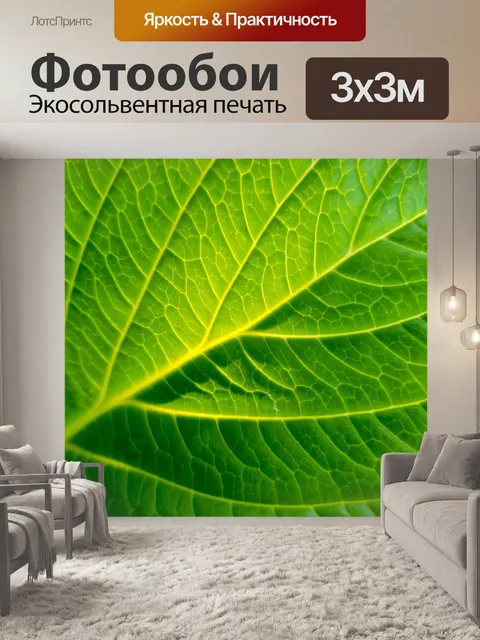 Фотообои Детали зеленого листа
