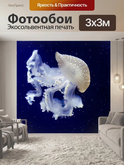 Фотообои Медуза Phyllorhiza рипсШа