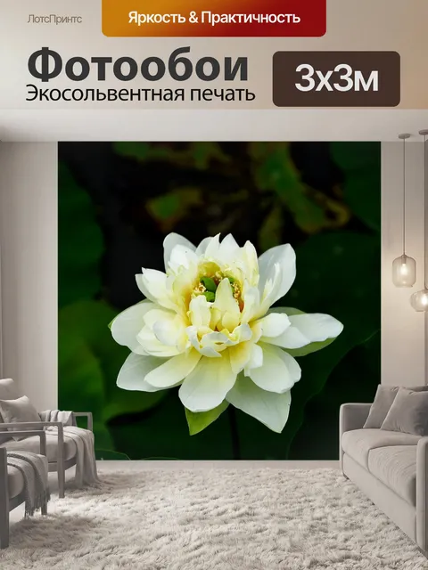 Фотообои Золотой лотос