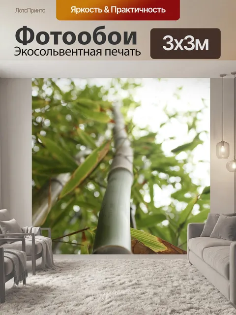 Фотообои Бамбук