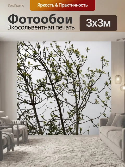 Фотообои Рост дерева на фоне серого неба
