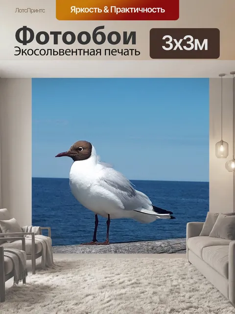 Фотообои Черноголовая чайка