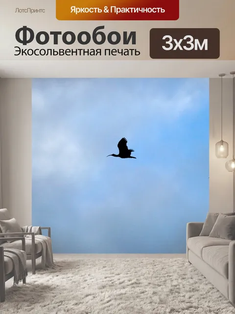 Фотообои Ибис