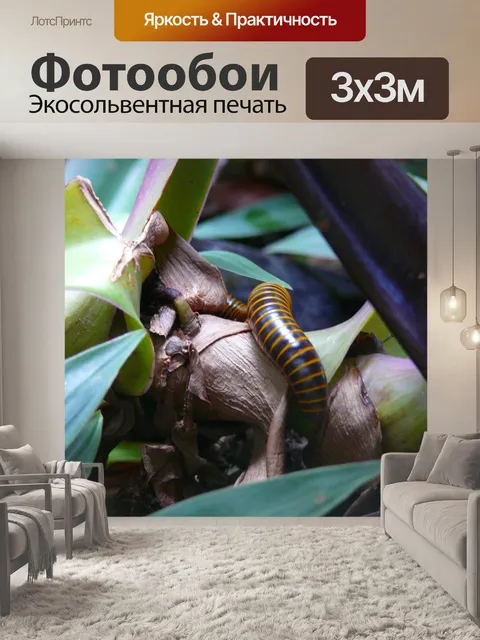 Фотообои Компания Caterpillar