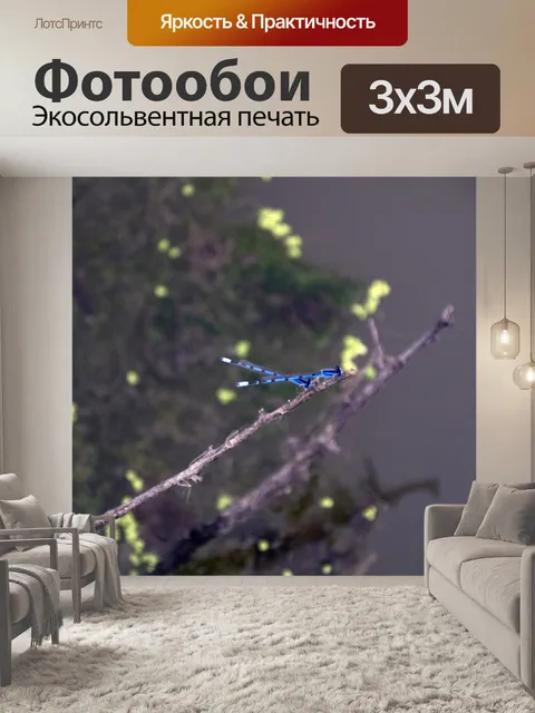 Фотообои лазурная красотка