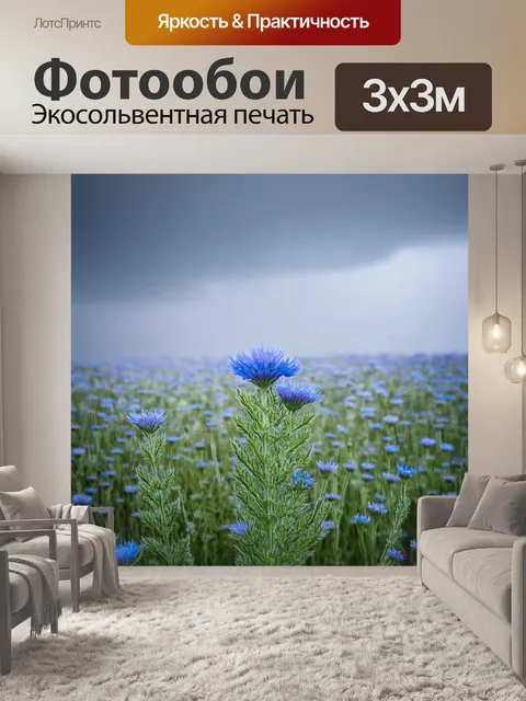 Фотообои поле с васильковыми оттенками цветов на фоне дымчатого неба
