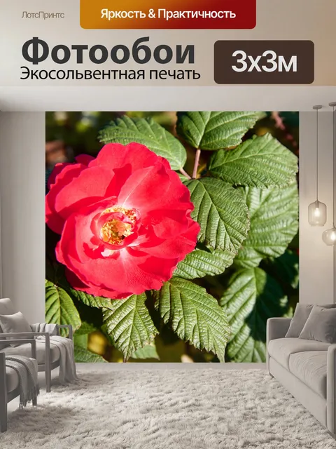 Фотообои Природа